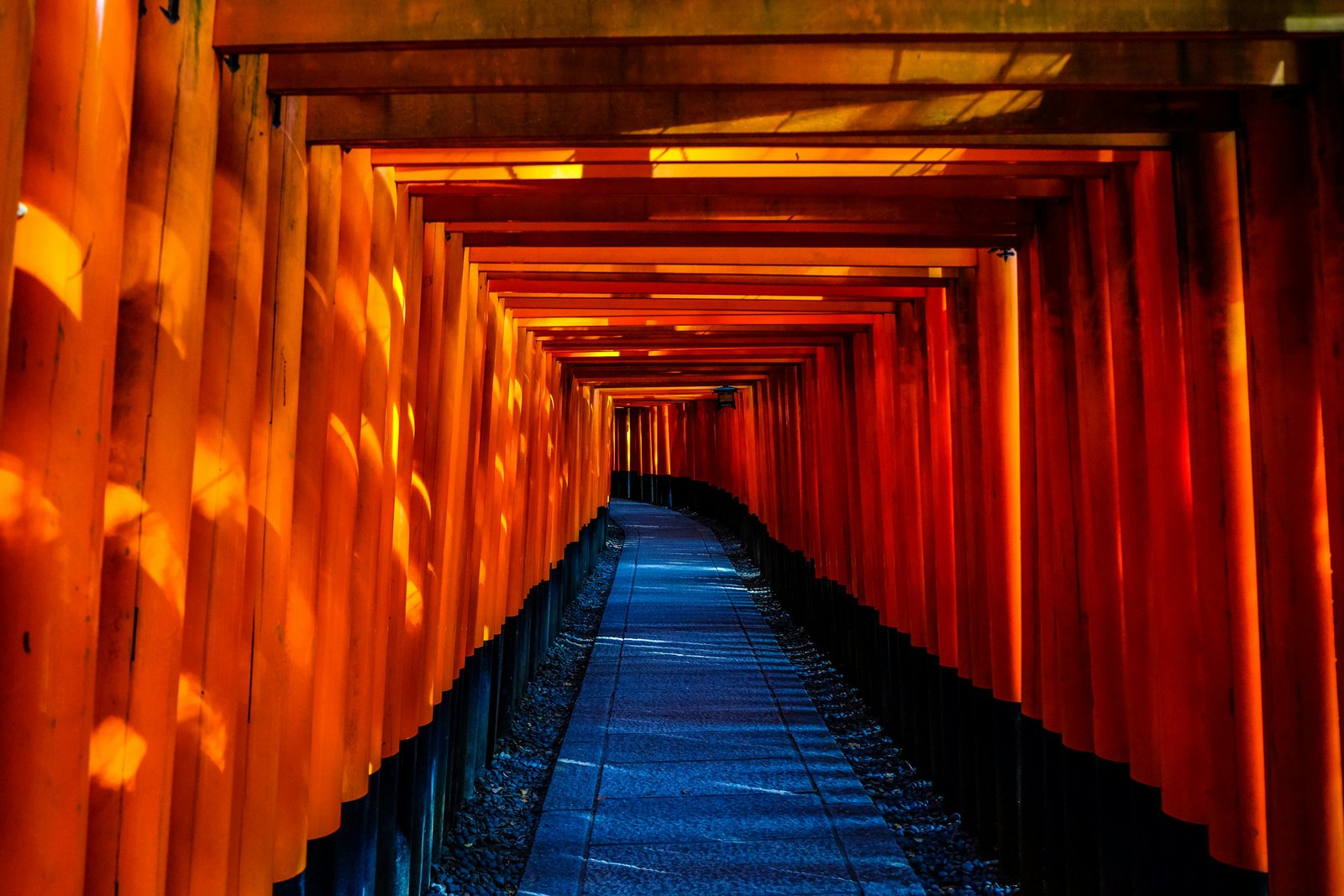 Chemin de torii à Kyoto